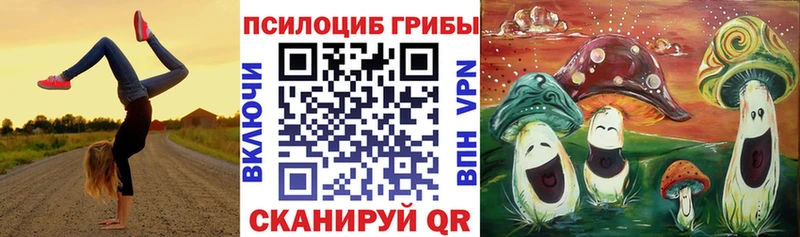 Псилоцибиновые грибы мухоморы  Купить где  Заозёрный 